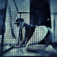 LunaSub69_ Avatar-Bild