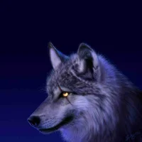 Mediacのアバター写真