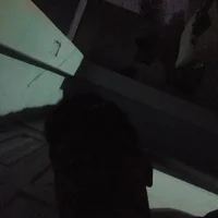 Vickeycocksn Profiilikuva