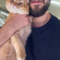 comokalii avatarképe