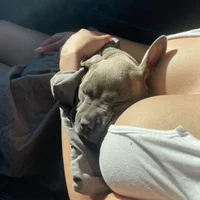 Bella_vii