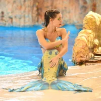 Ari_Meow's Avatar Pic