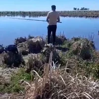 Eltorta214 avatarbilde