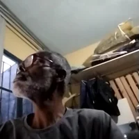 Photo de profil de Thadew