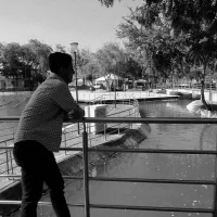 Alexander_str's Profile Pic