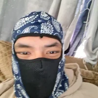 MassedParidae webcam