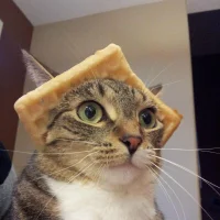 Unkindbot's Avatar Pic