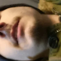 keesohot's Profile Pic