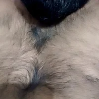 xxx_sl_fuck's Profile Pic