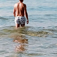 Silva___18 profiképe