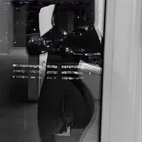 vixenria's Profile Pic