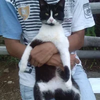 maravito's Profile Pic