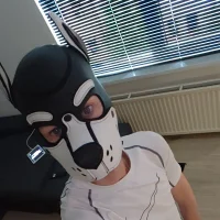 pupJack's Avatar Pic