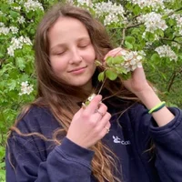 AlinaVeressa's Profile Pic