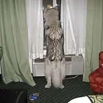 metyme 아바타 사진