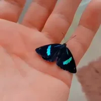 Mkagentesecreto007's Profile Pic