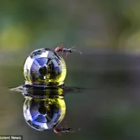 Foto del avatar de Zilver44