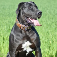 Ảnh Đại Diện el_carino