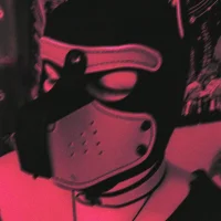 LimitlessPet - Profil Fotoğrafı