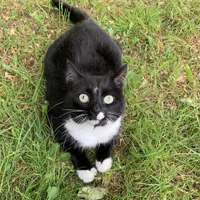 Bryan2699 Avatarbild