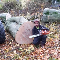 geiler-fickhengst455