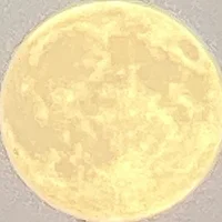 Foto do avatar de AaronShawn1Nato7