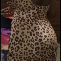 صورة الملف الشخصي لـ ChailaRojo