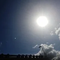 Ảnh Đại Diện Macmodus