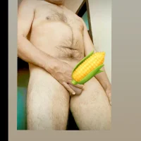 Pitercom 头像图片