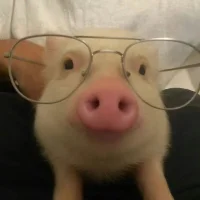 xixi_xixi_xixi Avatarfoto