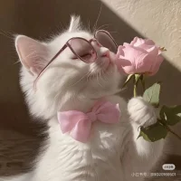 Image d’avatar de SuanTougongzhu