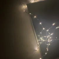 dicklot01 的个人资料图片