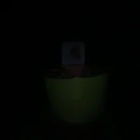 Encrypted19 webcam