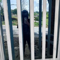 pablotap240s profilbillede