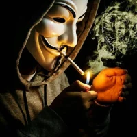 hirmam's Profile Pic