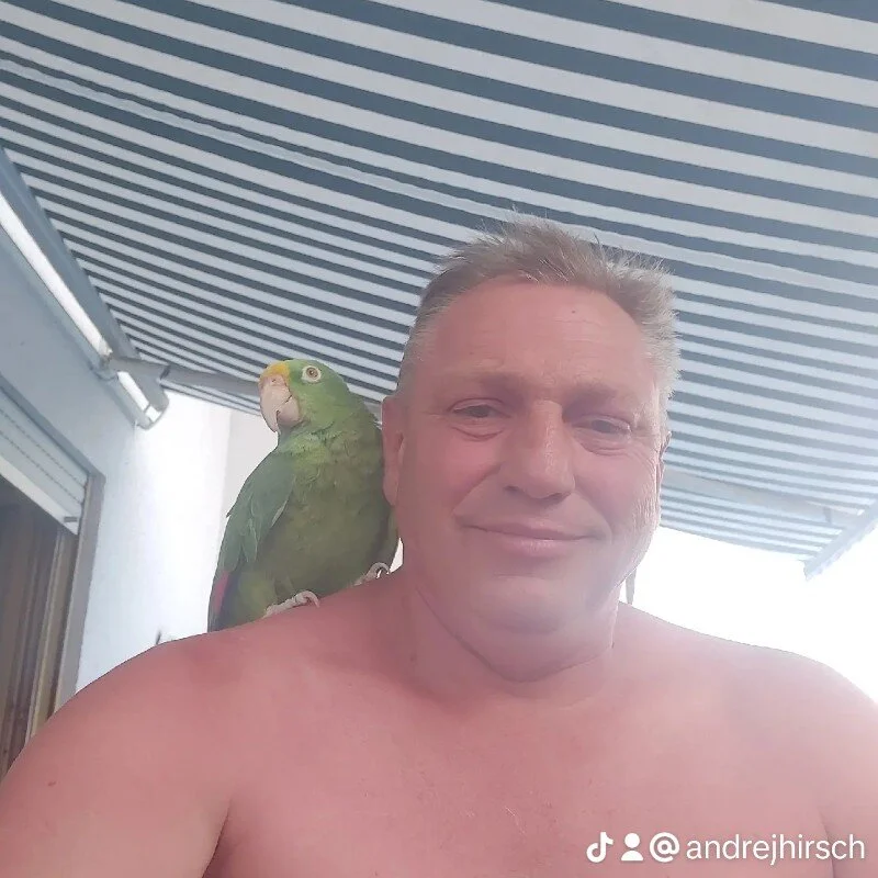 Wertuosi profile photo