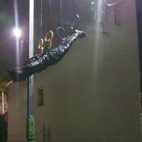 Drogoxsx Immagine Avatar