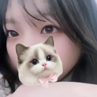 miraidesu