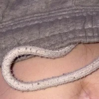 deutscheteens Poză avatar