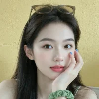 BNi112 webcam