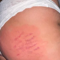 Lolboy95's Avatar Pic