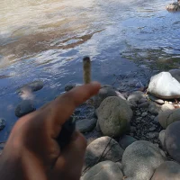 LearnedGoading's Profile Pic
