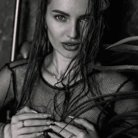 Viola_sweetのアバター写真