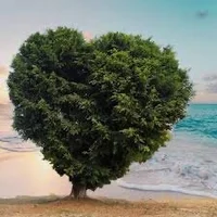 bigt_ree_insertion's Profile Pic
