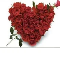 Call_me_Alan Immagine Avatar