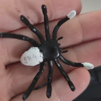 lesoul Profilový obrázek