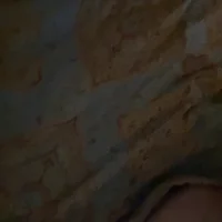 hungrtx523's Profile Pic