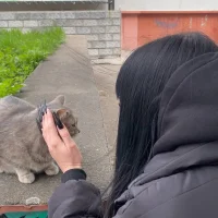 1Sweettykeyte2 Poză avatar