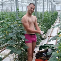 pawel253011