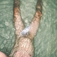 letsdoitasap's Avatar Pic